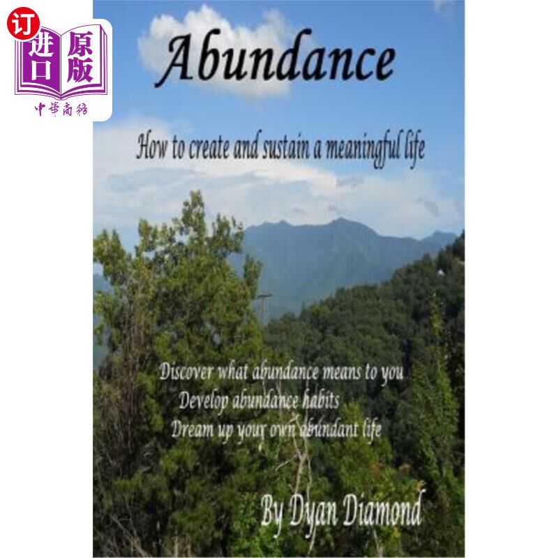 海外直订abundance how to create and sustain a meaningful life