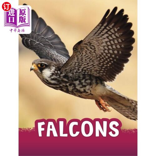 海外直订Falcons 猎鹰