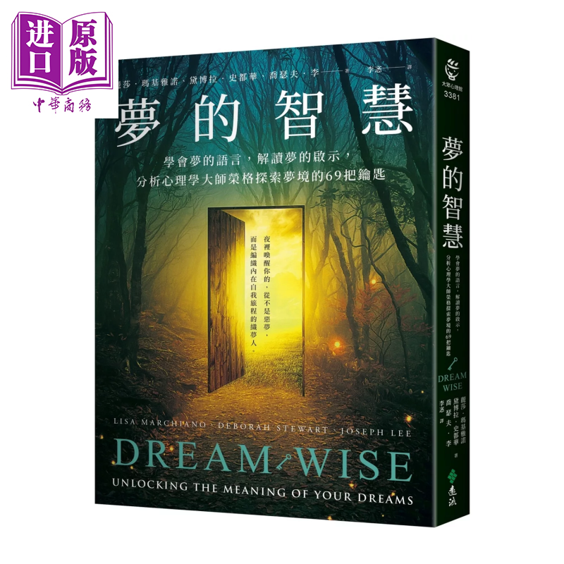 梦的智慧 学会梦的语言 解读梦的启示 分析心理学大师荣格探索梦境的69把钥匙 丽莎 玛基雅 远流文化 港台原版【中商原版】