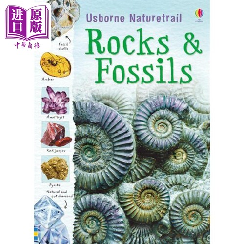 Rocks and Fossils 岩石和化石 英文原版 进口图书 儿童科普绘本 少儿知识百科图书 精品绘本儿童读物自然科学【中商原版】