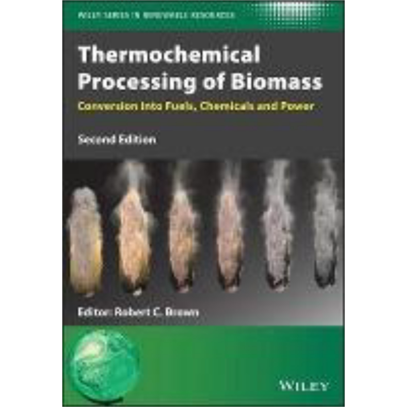 现货 生物质的热化学处理 转化为燃料 化学品与动力 第2版 Thermochemical Processing Of Biomass 英文原版