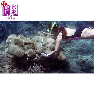 海外直订Minoan Shipwreck at Pseira, Crete 克里特岛普西拉的米诺斯沉船