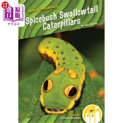 海外直订Spicebush Swallowtail Caterpillars 山胡椒燕尾服毛毛虫
