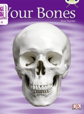 海外直订Bug Club Non-fiction Green C/1B Your Bones 6-pack Bug Club非虚构绿色C/1B Your Bones 6件装