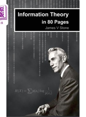 海外直订Information Theory in 80 Pages 《80页情报论