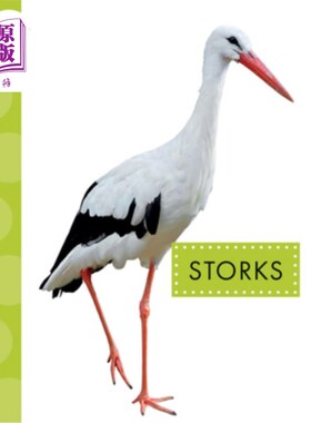 海外直订Storks 鹳