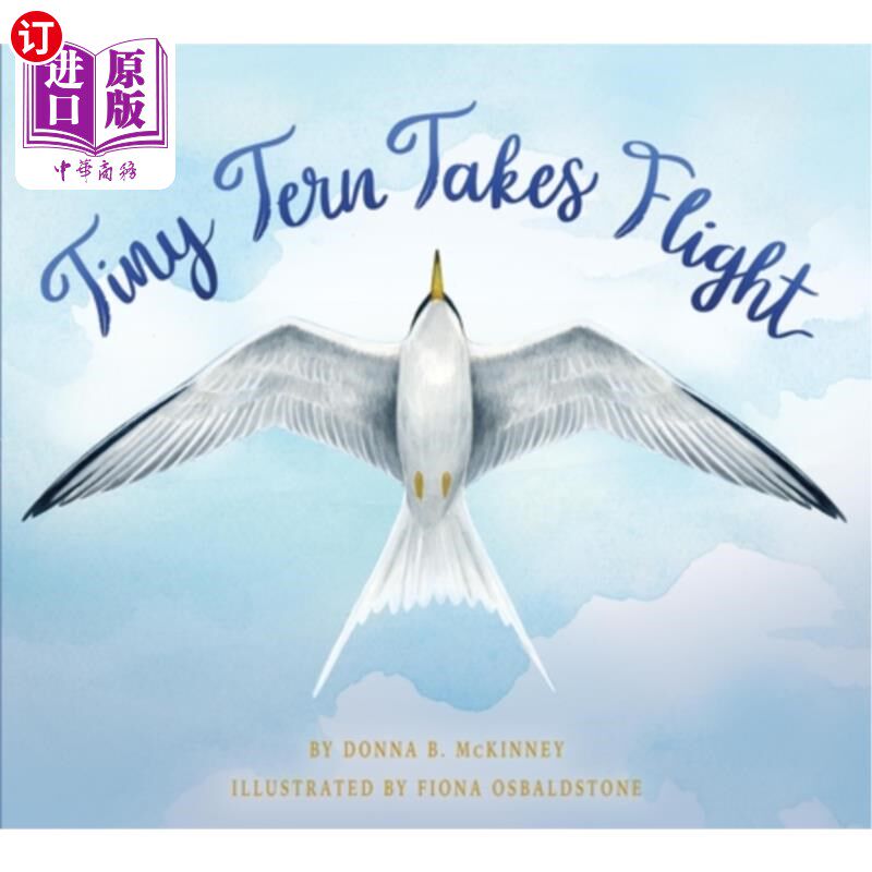 海外直订Tiny Tern Takes Flight 小燕鸥飞走了