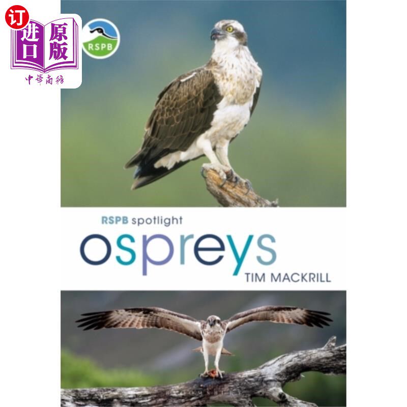 海外直订RSPB Spotlight Ospreys 皇家鸟类保护协会聚光灯鱼鹰
