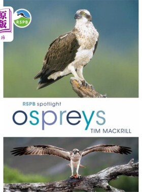 海外直订RSPB Spotlight Ospreys 皇家鸟类保护协会聚光灯鱼鹰
