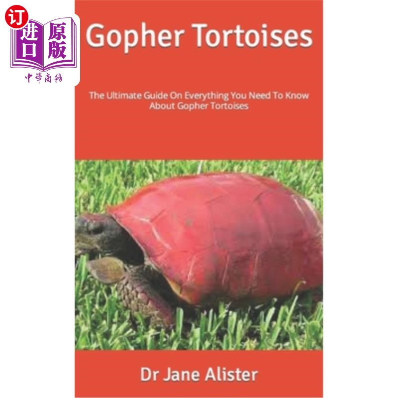 tortoises: the ultimate guide on everything you need to know