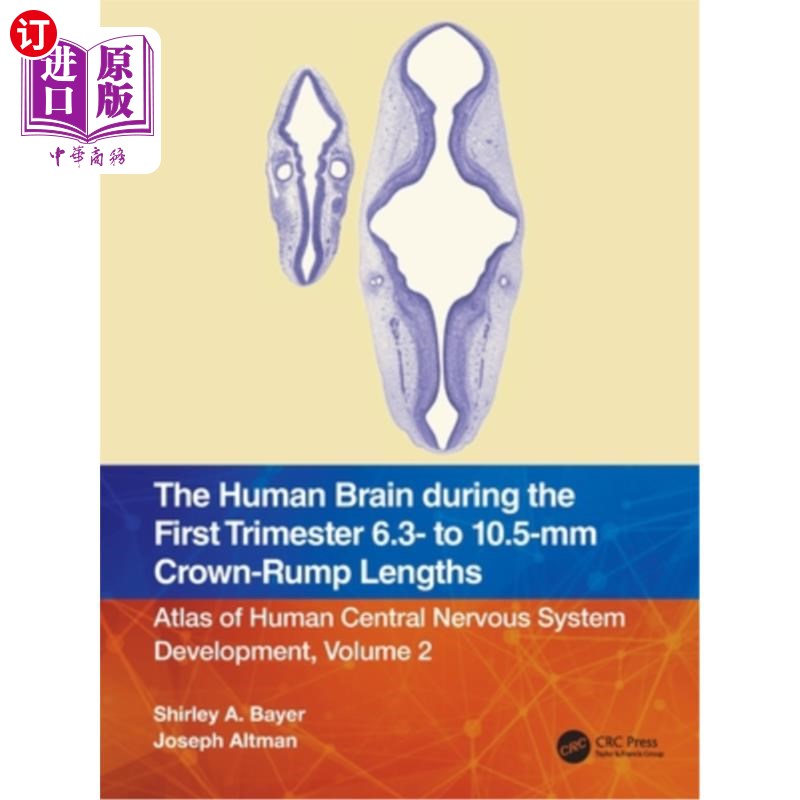 海外直订医药图书The Human Brain during the First Trimester 6.3- to 10.5-mm Crown-Rump Lengths: A 在前三个月的人类大