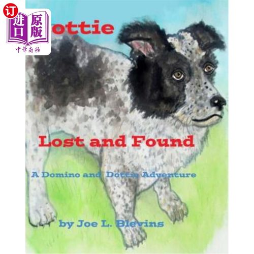 海外直订Dottie Lost and Found: Dottie's Story 多蒂失物招领:多蒂的故事