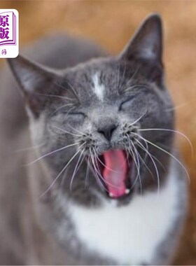 海外直订Colorado Barn Cats - Skunk and Chauncey 科罗拉多州谷仓猫-臭鼬和昌西