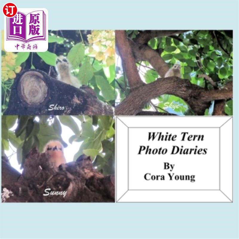海外直订White Tern Photo Diaries 白燕鸥摄影日记