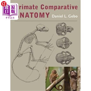 灵长类比较解剖学 Anatomy 海外直订Primate Comparative