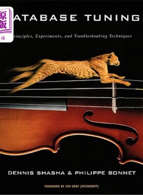 海外直订Database Tuning: Principles, Experiments, and Troubleshooting Techniques 数据库优化：原理、实验和故障排除技