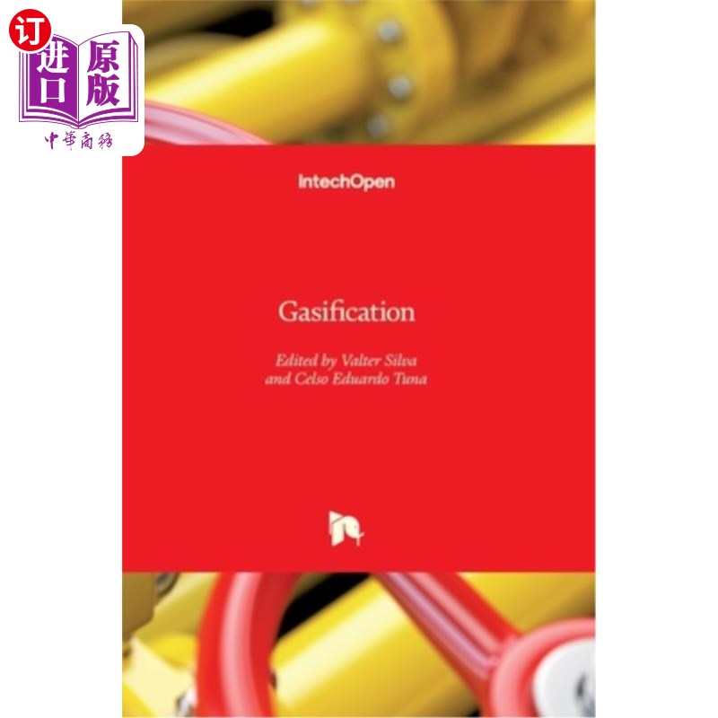 海外直订Gasification 气化