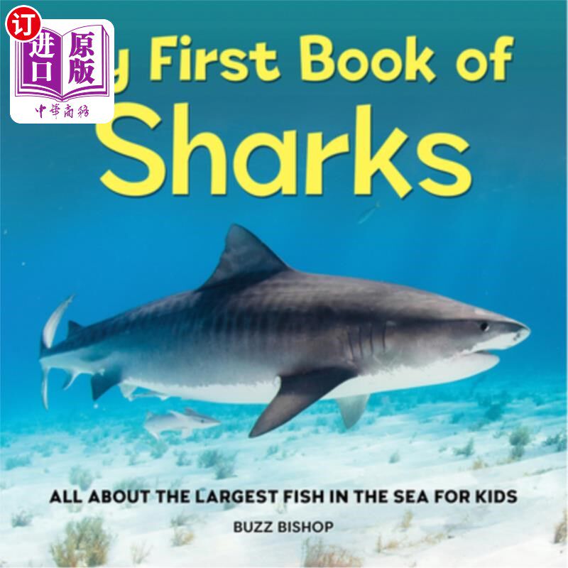 海外直订My First Book of Sharks: All about the Largest Fish in the Sea for Kids 我的第一本关于鲨鱼的书:所有关于海洋