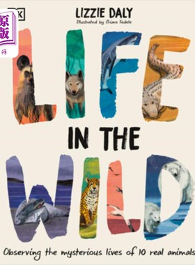 海外直订Life in the Wild: Observing the Mysterious Lives of 10 Real Animals 野外生活：观察10种真实动物的神秘生活