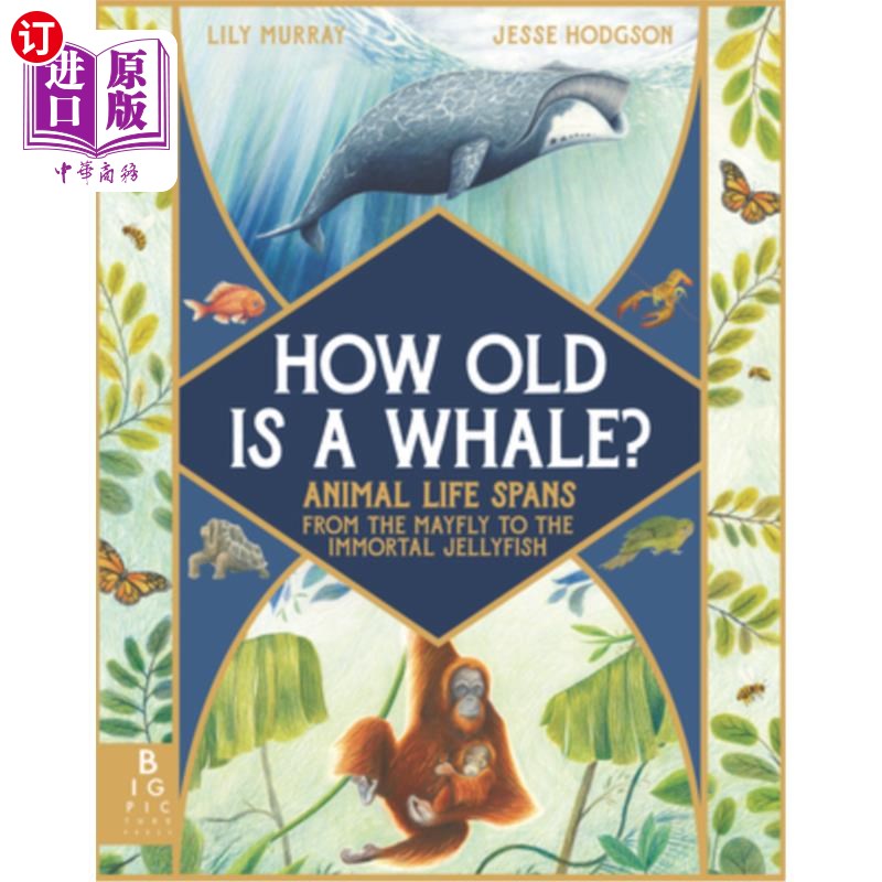 海外直订How Old Is a Whale?: Animal Life Spans from the Mayfly to the Immortal Jellyfish 鲸鱼有多大岁数?字体动物的