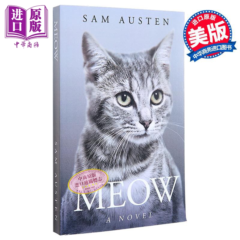 喵宠物猫咪猫科动物