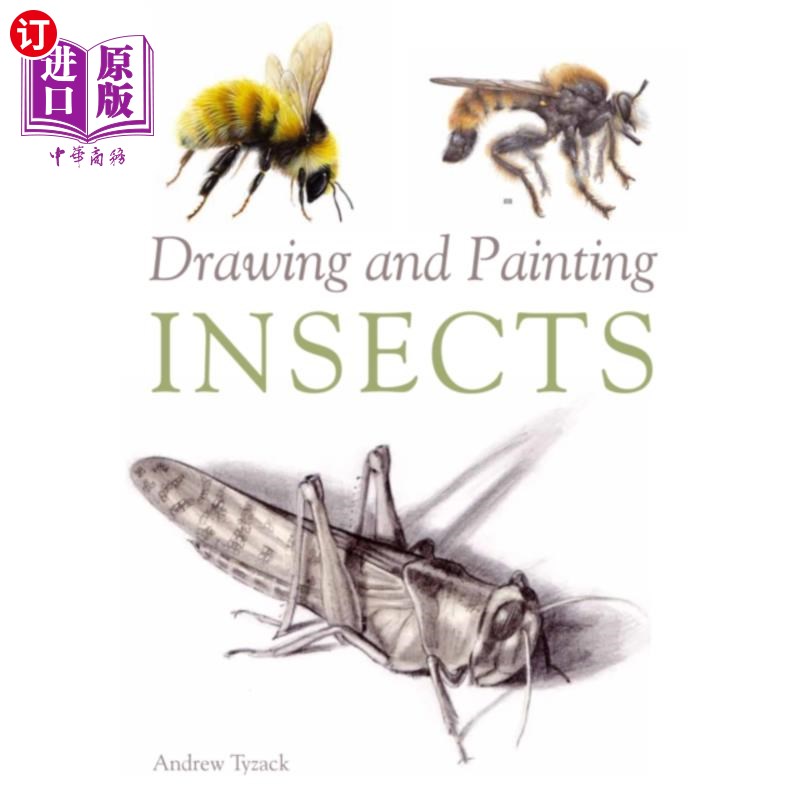 海外直订Drawing and Painting Insects 绘画昆虫