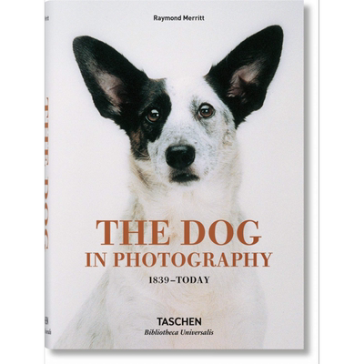 The Dog in Photography 1839–Today 进口艺术 动物摄影 照片中的狗【中商原版】