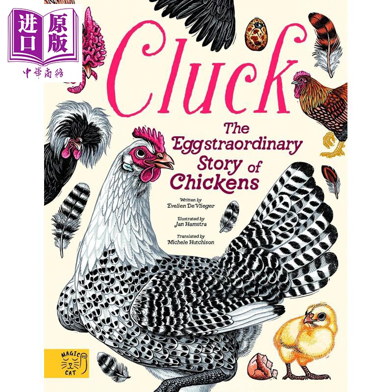 鸡的非凡故事Cluck!英文