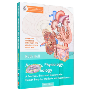 解剖学 生理学和病理学 第3版 英文原版 Anatomy Physiology and Pathology Ruth Hull 基础医学图书【中商原版】