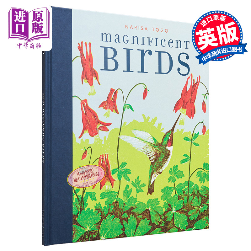 不可思议的鸟类英文原版