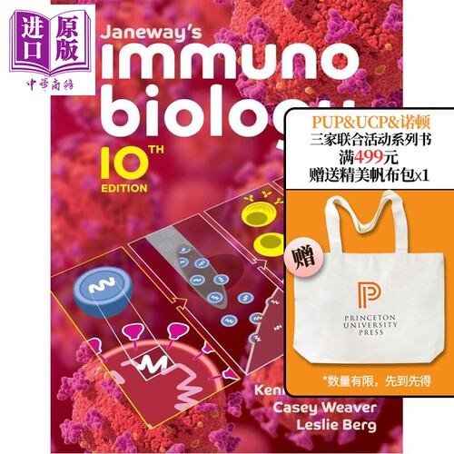 8月下旬到货