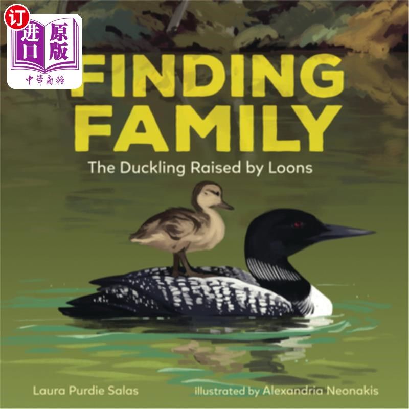海外直订finding family: the duckling raised by loons 寻找家庭