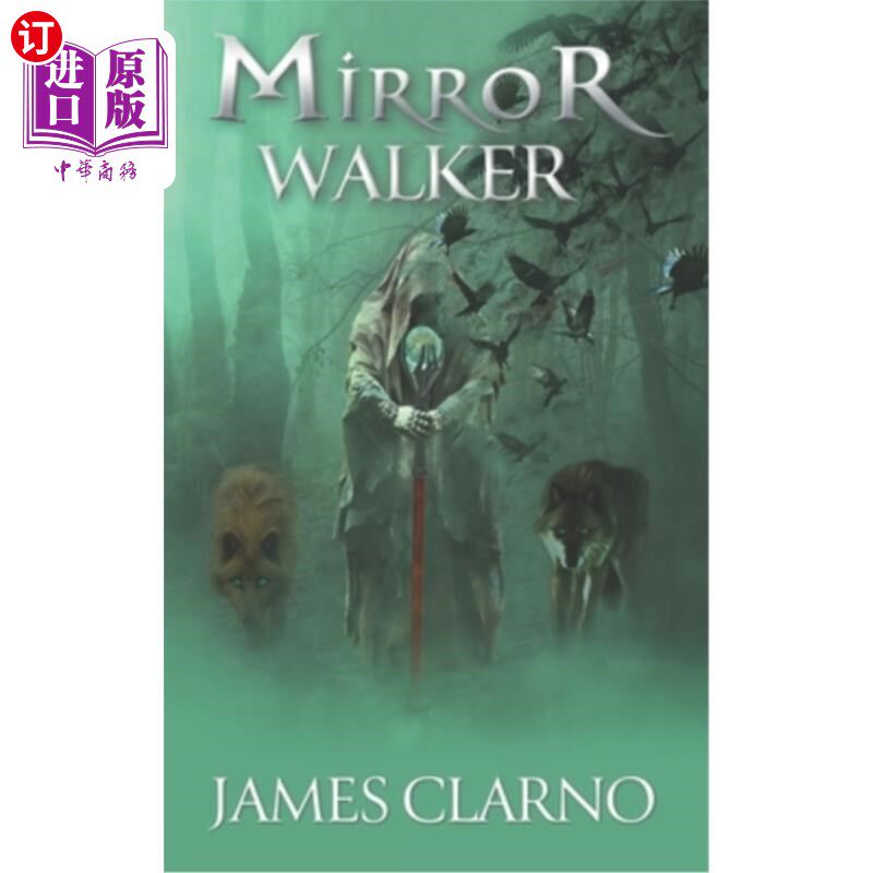 海外直订Mirror Walker 镜子沃克