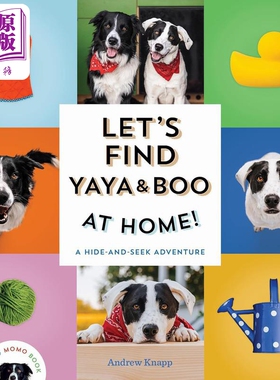 现货 Lets Find Yaya And Boo At Home寻找莫莫3 我们去家里找亚亚和布吧 英文原版纸板书 认知识物 亲子绘本图画书【中商原版】