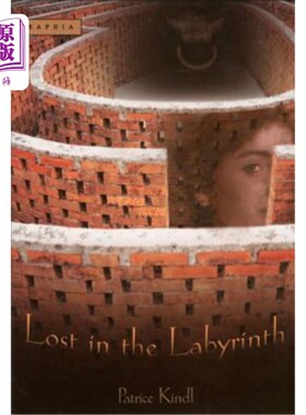 海外直订Lost in the Labyrinth 迷失在迷宫中