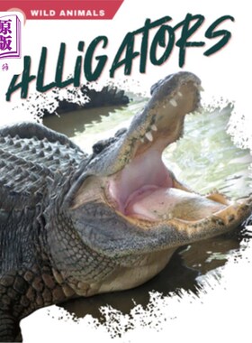 海外直订Alligators 鳄鱼