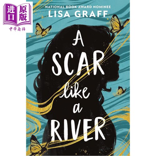 像河流一样的伤疤 青少年成长小说 12岁以上 英文原版 A Scar like a River Lisa Graff【中商原版】