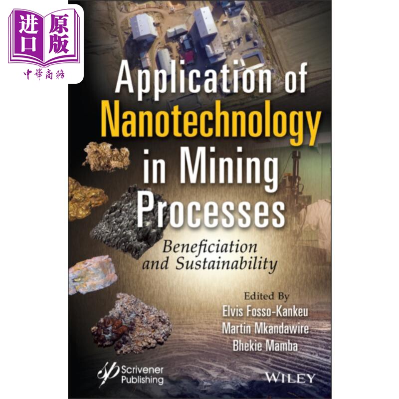 现货 纳米技术在采矿过程中的应用 Application Of Nanotechnology In Mining Processes  Beneficiation Elvis Kankeu