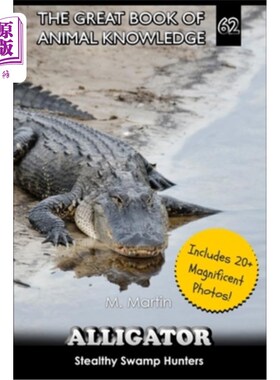 海外直订Alligators: Stealthy Swamp Hunters 短吻鳄：潜行的沼泽猎人