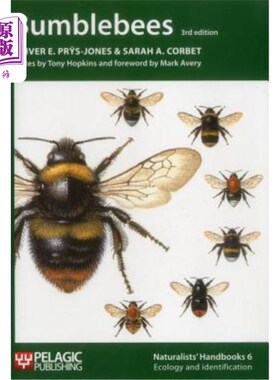 海外直订Bumblebees 大黄蜂