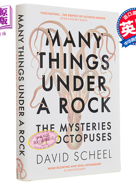 预售 岩石下的许多东西 章鱼的奥秘 Many Things Under a Rock The Mysteries of Octopuses 英文原版 David Scheel【中商原版】