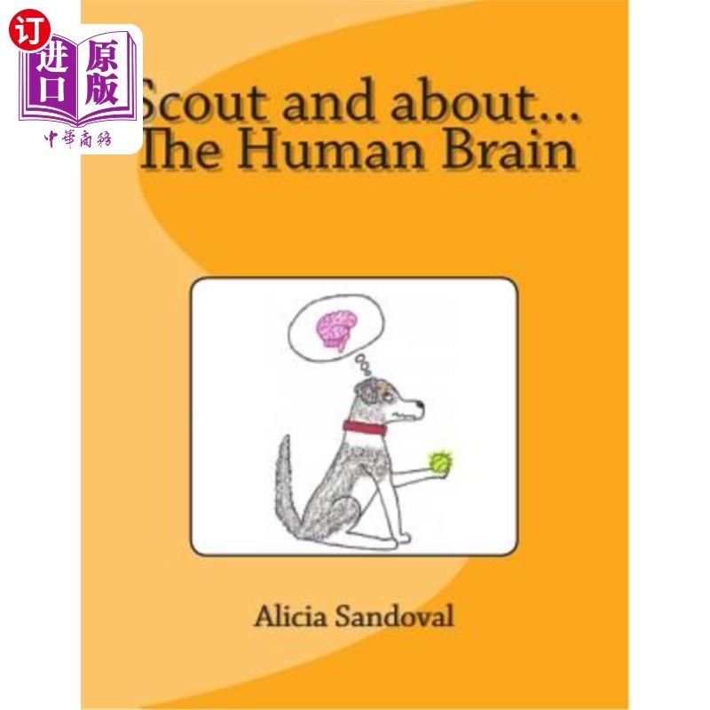海外直订Scout and about...The Human Brain 斯考特和大约……人类的大脑
