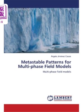 海外直订Metastable Patterns for Multi-phase Field Models 多相场模型的亚稳态模式