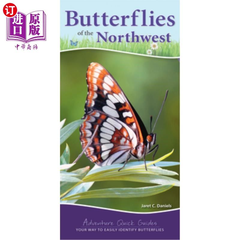 海外直订Butterflies of the Northwest: Your Way to Easily Identify Butterflies 西北的蝴蝶:你的方法很容易识别蝴蝶