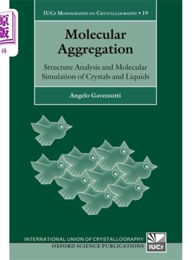 海外直订Molecular Aggregation 分子聚集