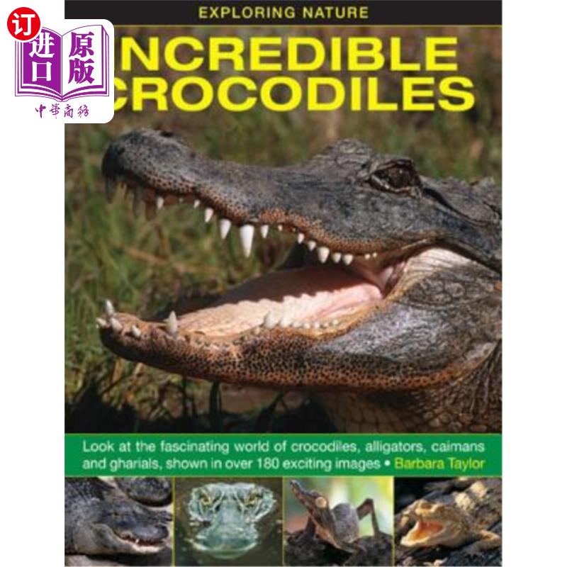 海外直订Exploring Nature: Incredible Crocodiles: Look at the Fascinating World of Crocod 探索自然：难以置信的鳄鱼：