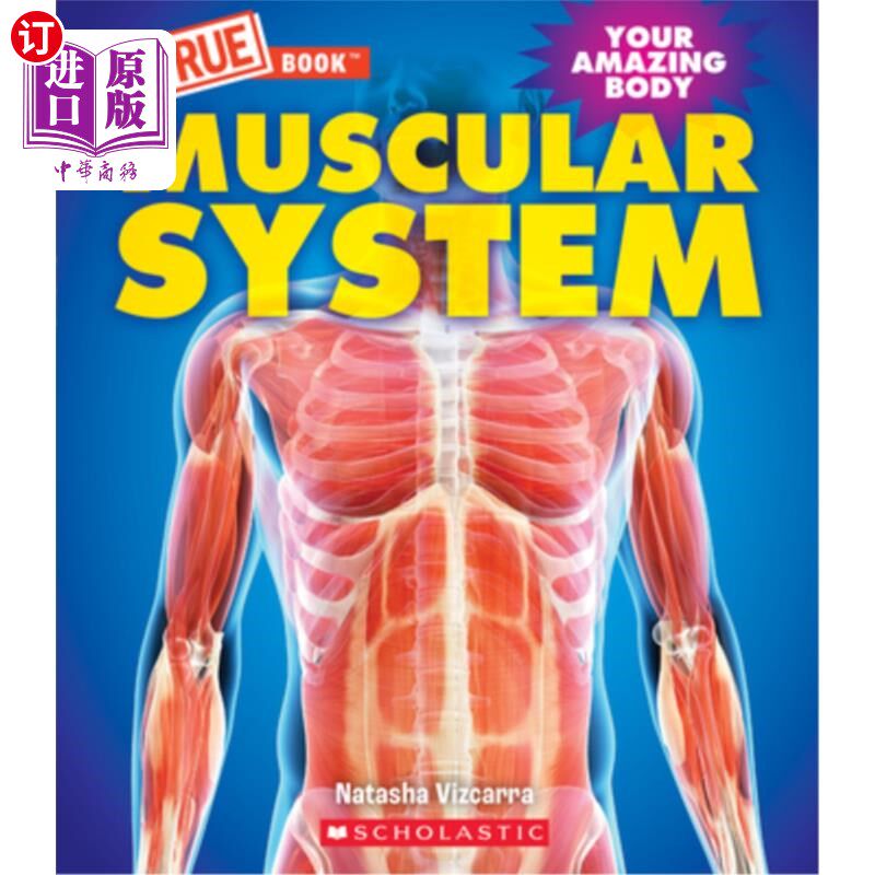 海外直订Muscular System (a True Book: Your Amazing Body) 肌肉系统(一本真实的书:你神奇的身体)