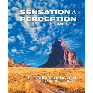 现货 感觉与知觉 第10版 Sensation and Perception 英文原版 E Bruce Goldstein【中商原版】