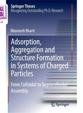 海外直订Adsorption, Aggregation and Structure Formation in Systems of Charged Particles: 带电粒子体系的吸附、聚集和