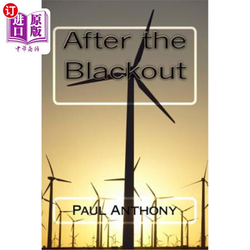 海外直订After the Blackout 停电后